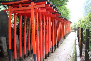 Nezu shrine, Tokyo